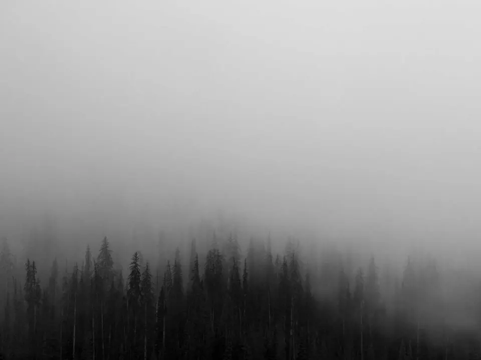 Security operations teams collaborating on incident response dashboards