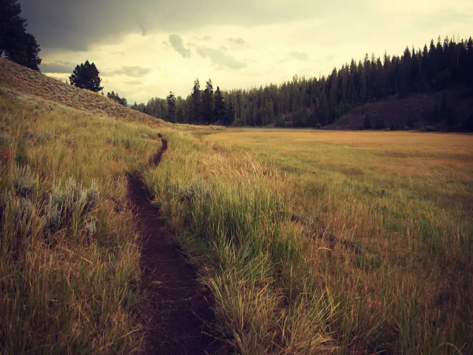 Security leadership teams coordinating a joint incident response program