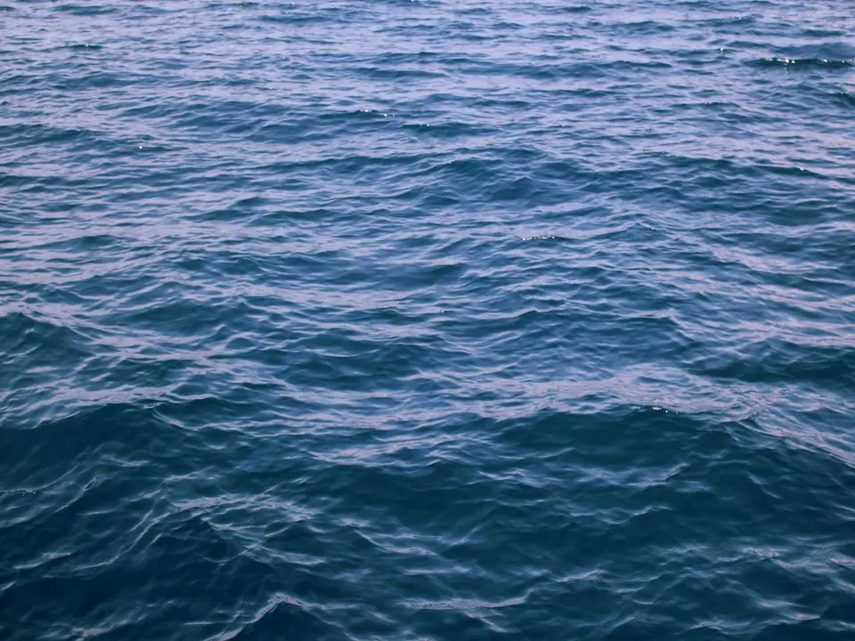 Colleagues collaborating around a project timeline